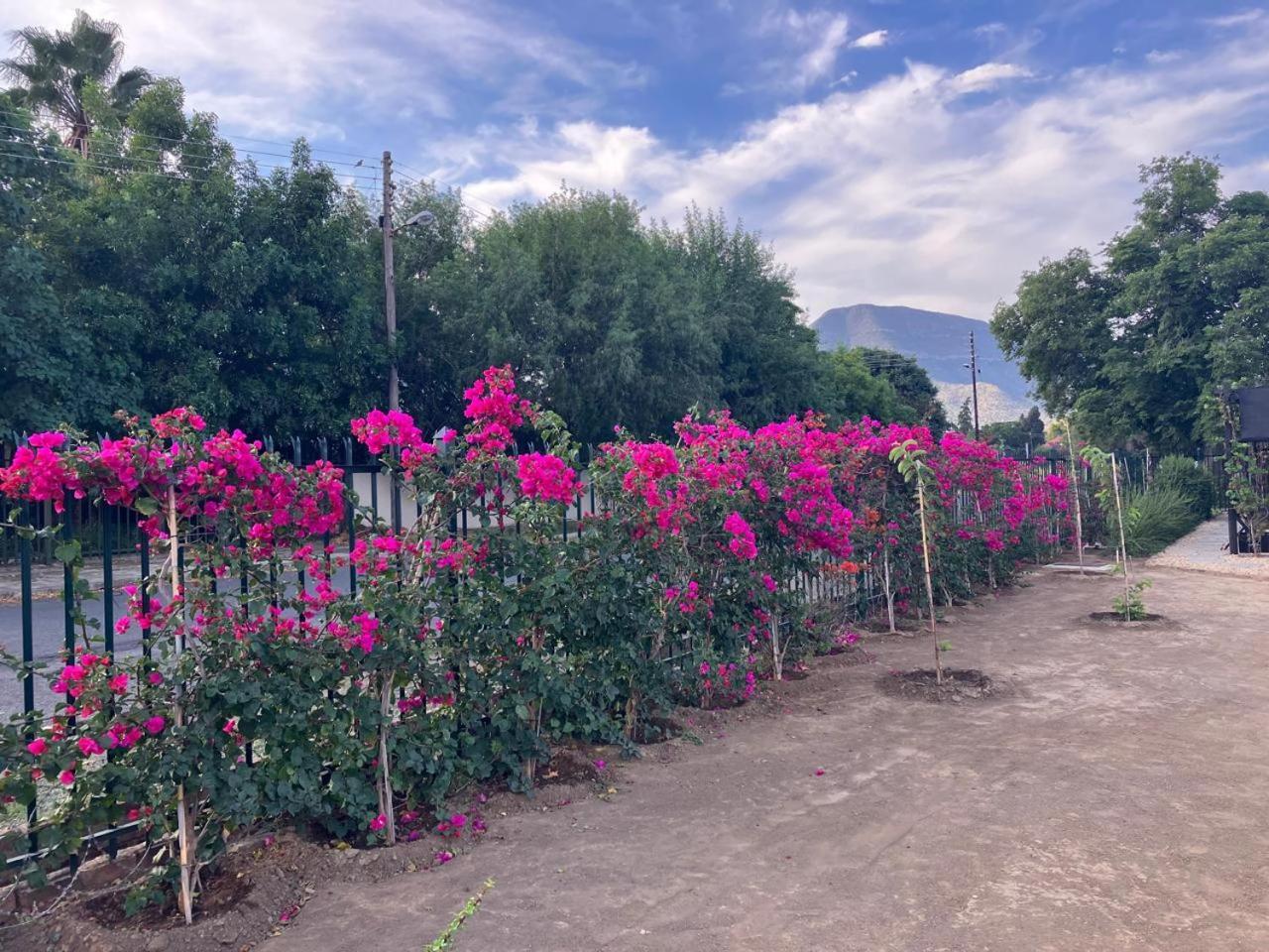 Die Dorpshuis Graaff-Reinet エクステリア 写真